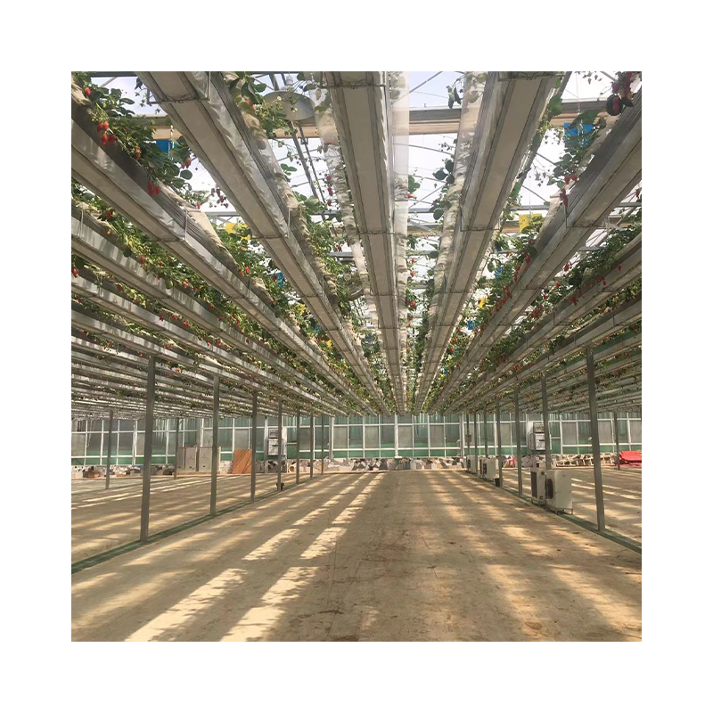 Agricultural Polytunnel Multi-span Plastic Film serre agricole Fruit Flower Customized Greenhouse For Sale