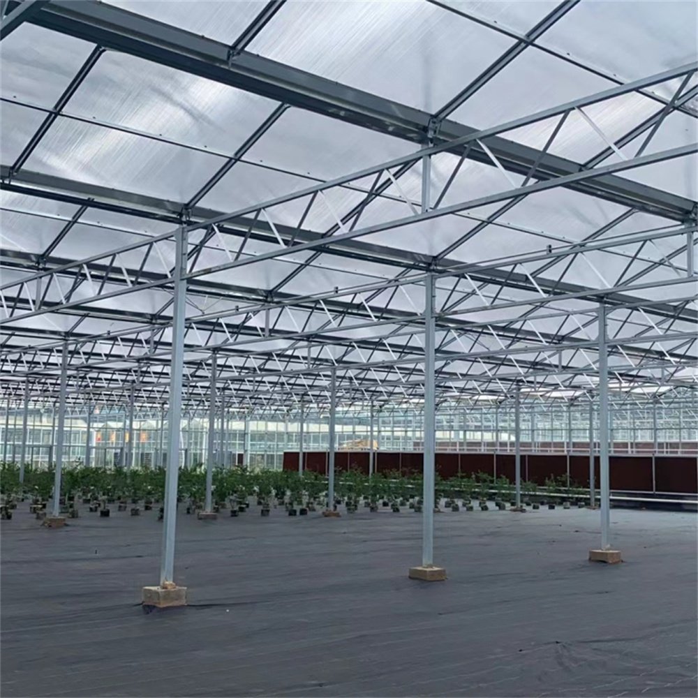 Hot Selling High Quality Smart Energy Saving French Glass Greenhouse