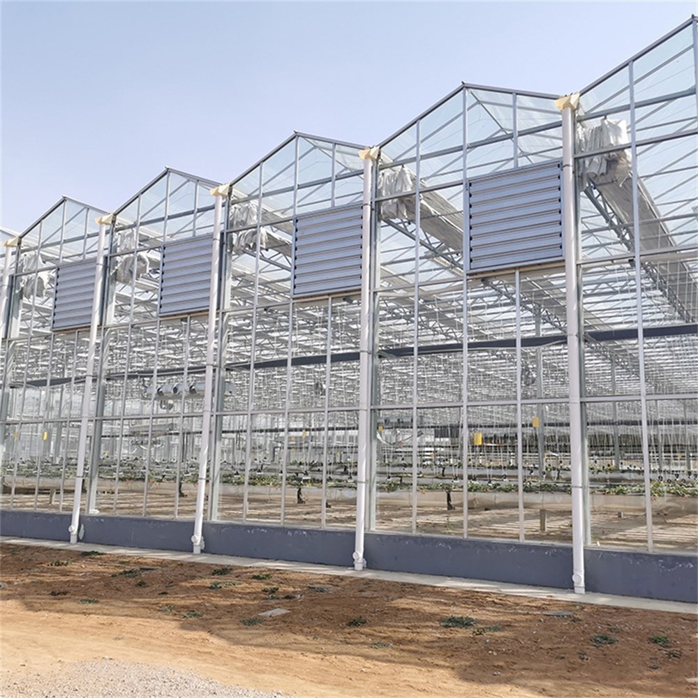 Hot Selling High Quality Smart Energy Saving French Glass Greenhouse