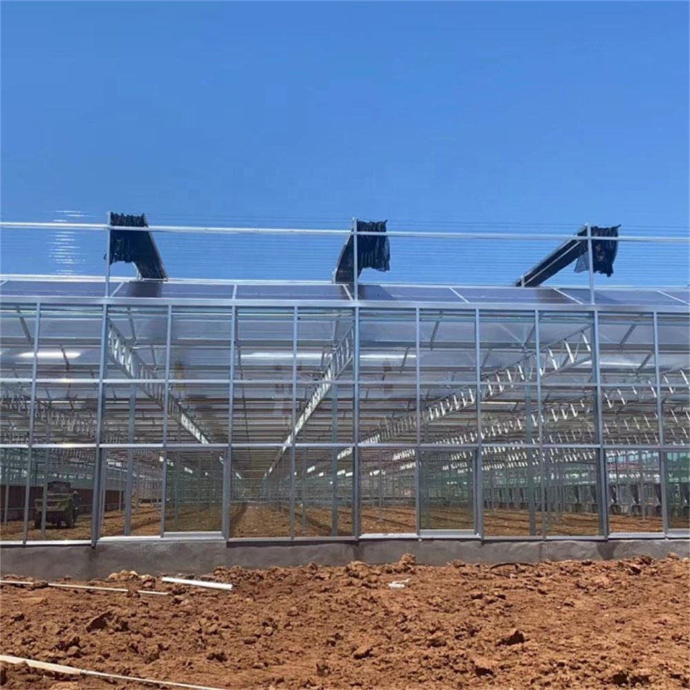 Hot Selling High Quality Smart Energy Saving French Glass Greenhouse