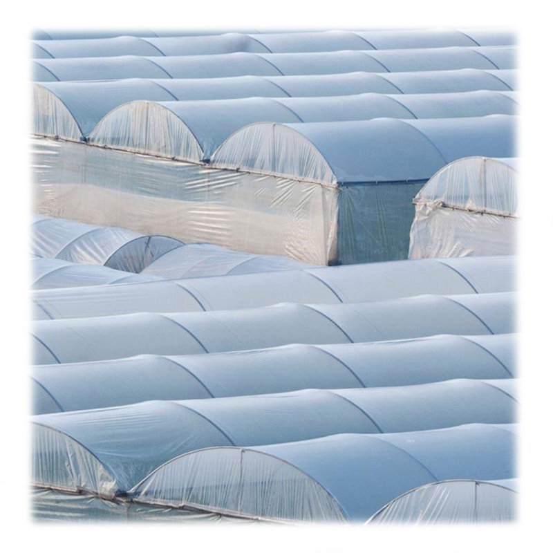 Agricultural Greenhouse Polytunnel Greenhouse For Tomato Agricultural Farming High Tunnel Agriculture Intelligent Green House