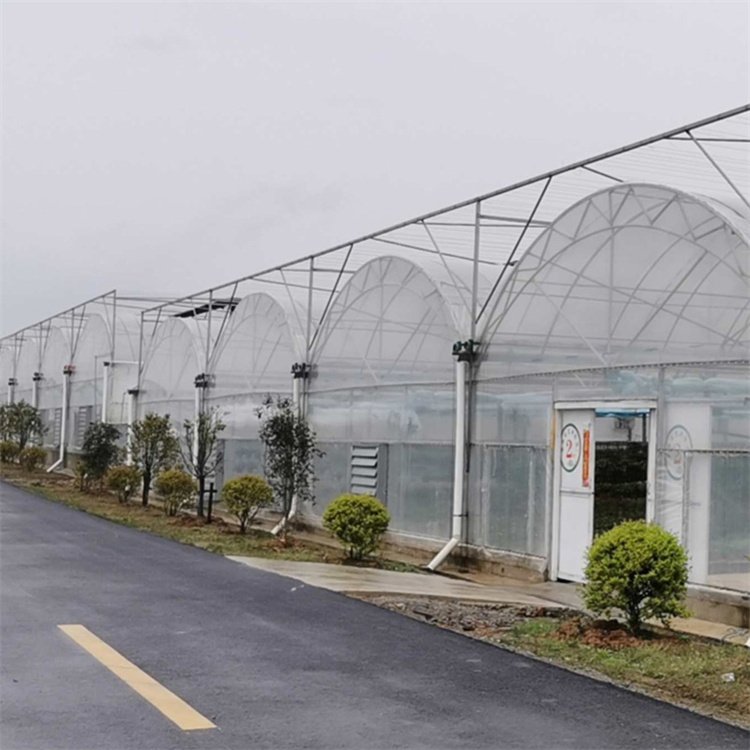 Large Commercial Green Houses Agriculture Greenhouse