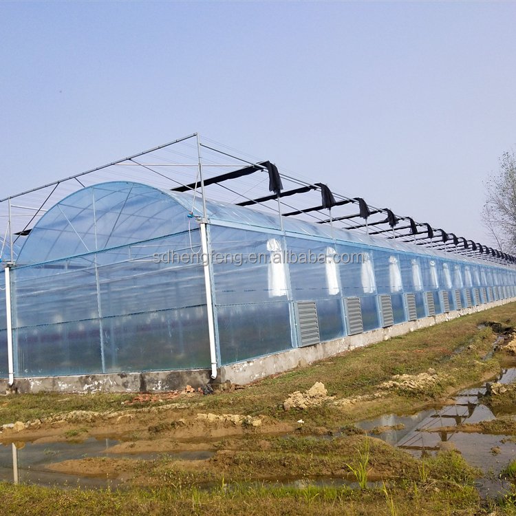Large Commercial Green Houses Agriculture Greenhouse