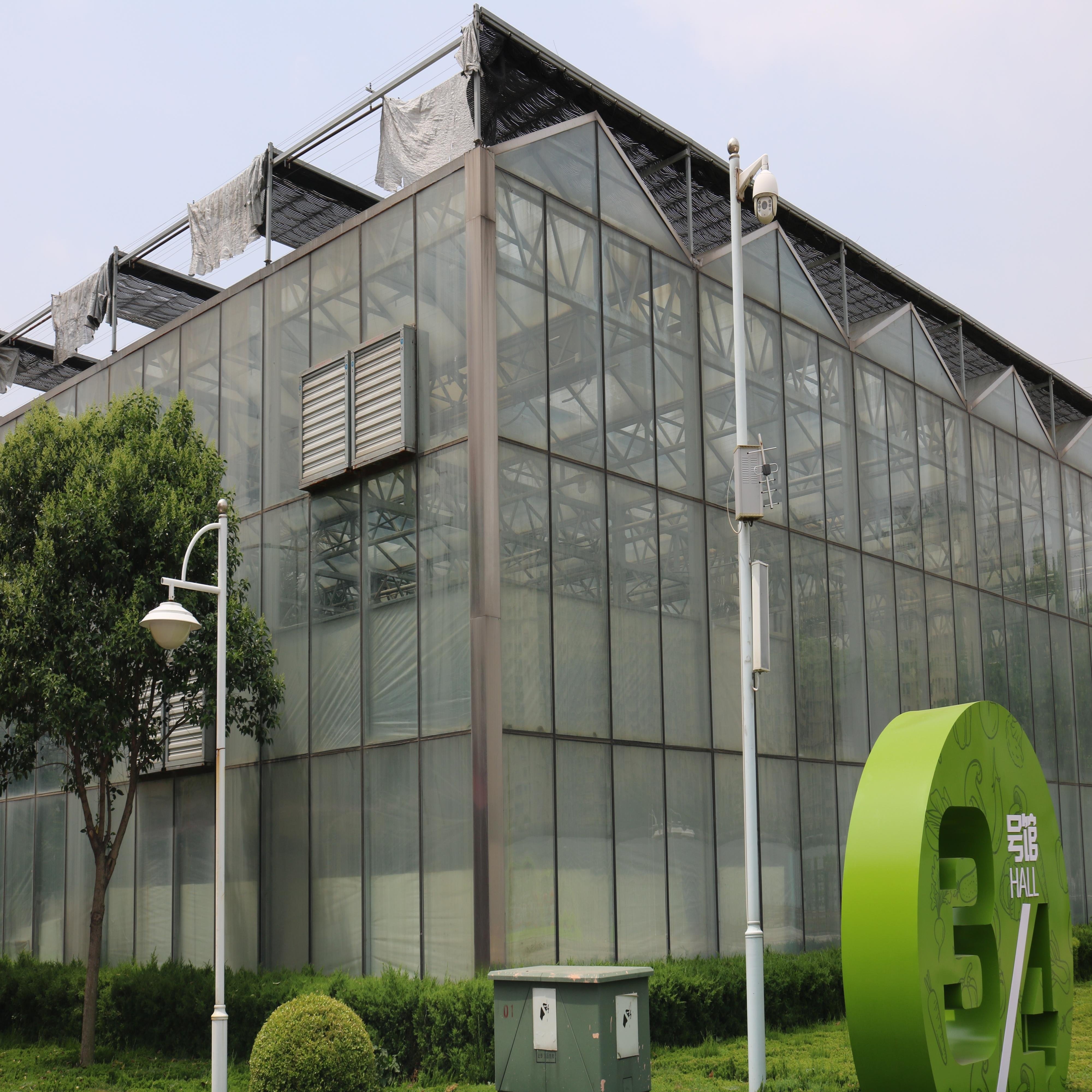 Professional Greenhouse Agricultural/Commercial/Industrial Multi-span Glass Greenhouses For Sale