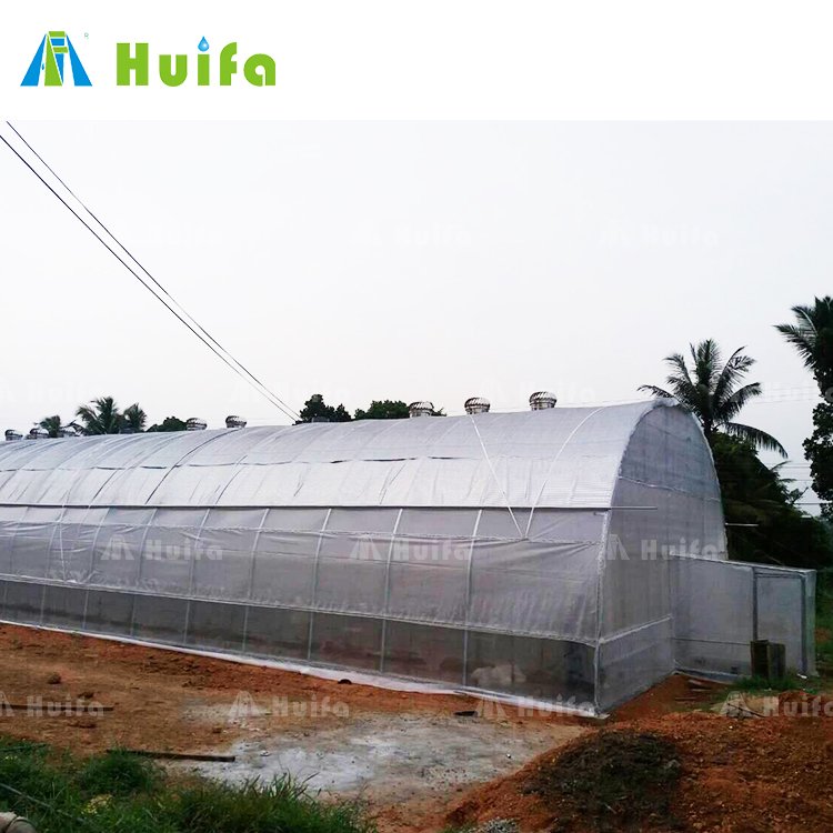 Chinese Single Span Plastic Film Tunnel Greenhouse Agriculture Greenhouse Invernadero Single Arch Cheapest Greenhouse For Sale