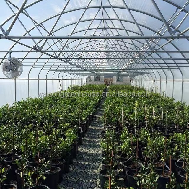 China sells greenhouses in large scale small greenhouses and agricultural greenhouses