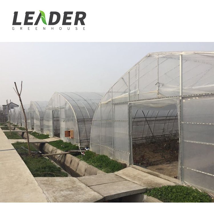 Single Span High Quality Retractable Roof Steel Frame High Tunnel Plastic Cover Material Vegetable/Flower Planting Greenhouse
