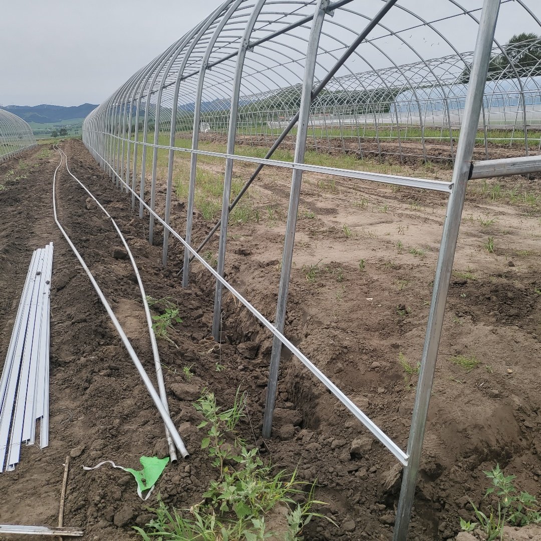 Vegetables Farming Film Plastic Agriculture Greenhouse Tunnel Hoop House