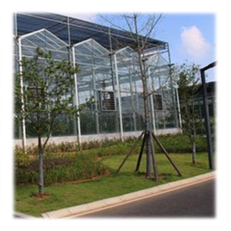 Hinged Door Large Orangery Glass Greenhouse