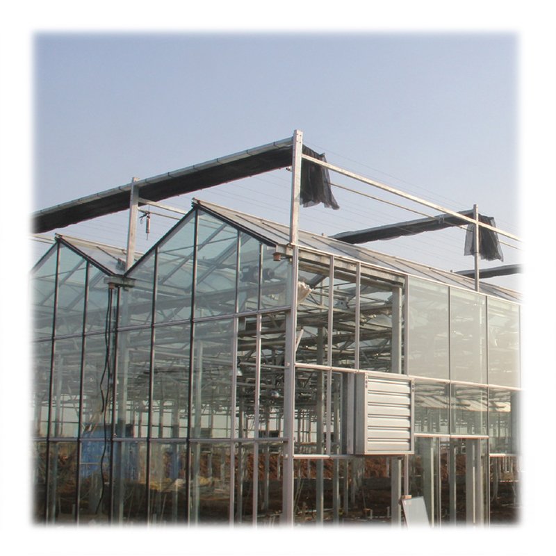 Hinged Door Large Orangery Glass Greenhouse