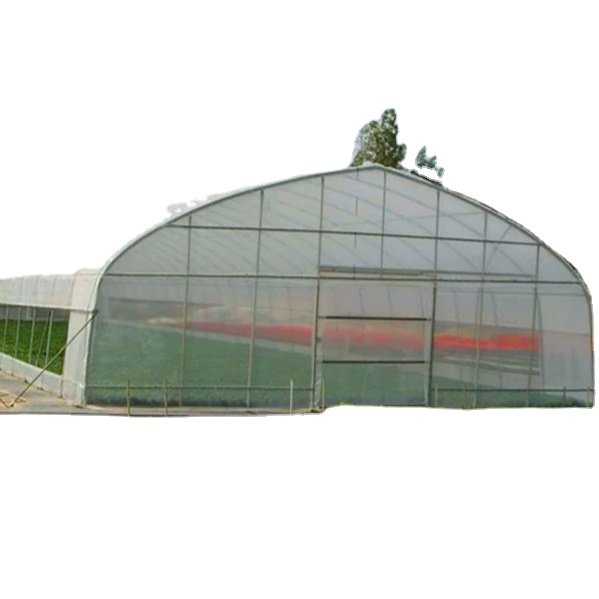Small Size Hydroponic Tunnel Greenhouse Chinese Agricultural Greenhouse with Film Plastic Glass and Steel Cover PE Material