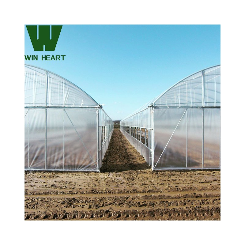 Commercial Greenhouse Industrial Hydroponic Agricultural Greenhouses Film
