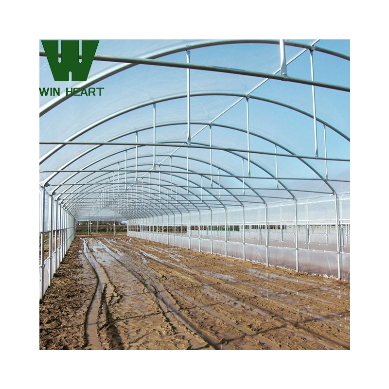 Commercial Greenhouse Industrial Hydroponic Agricultural Greenhouses Film