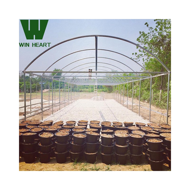 Commercial Greenhouse Industrial Hydroponic Agricultural Greenhouses Film