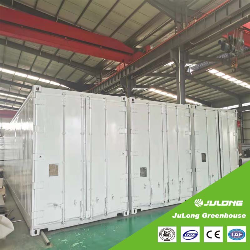 Thailand Hydroponic Hemp Growing Shipping Container Farm Smart Farm Fully Automated Container Greenhouse