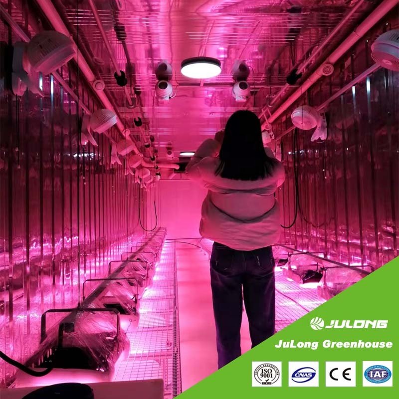 Thailand Hydroponic Hemp Growing Shipping Container Farm Smart Farm Fully Automated Container Greenhouse