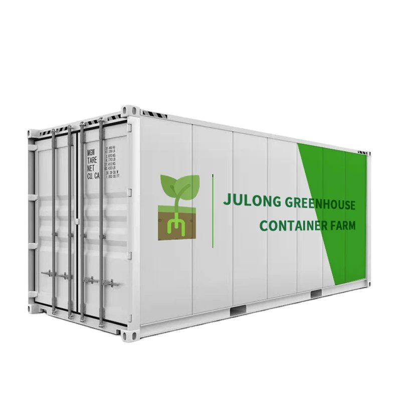 Thailand Hydroponic Hemp Growing Shipping Container Farm Smart Farm Fully Automated Container Greenhouse