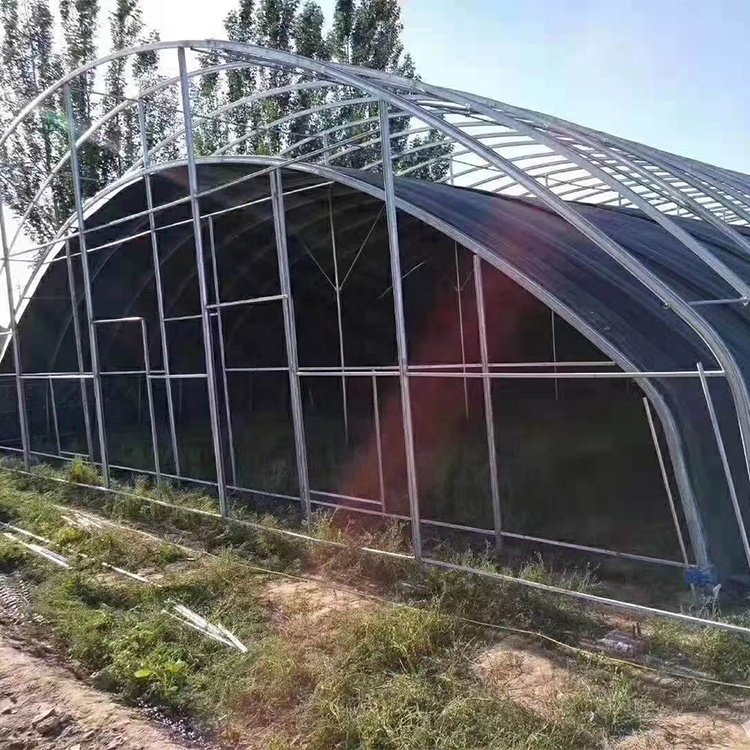 Cheap Price Agricultural Greenhouse For Mushroom Farming