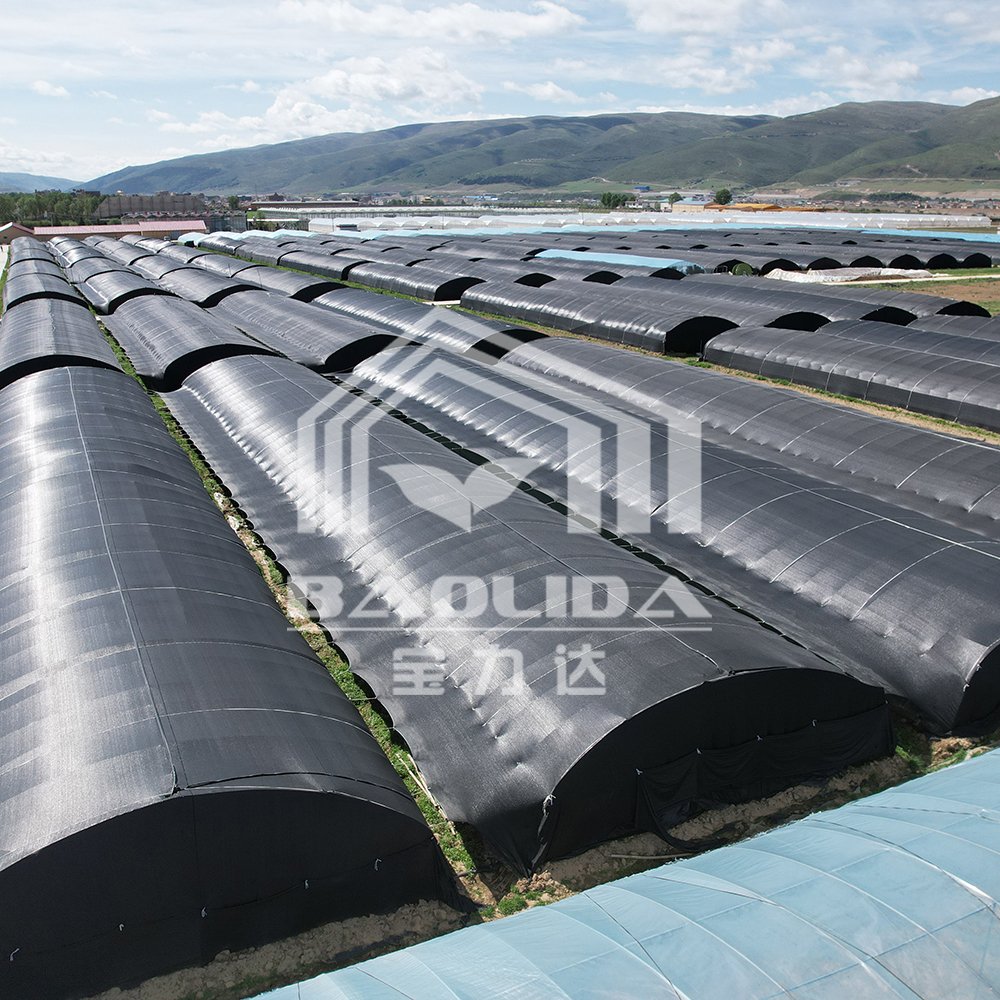 Cheap Price Agricultural Greenhouse For Mushroom Farming