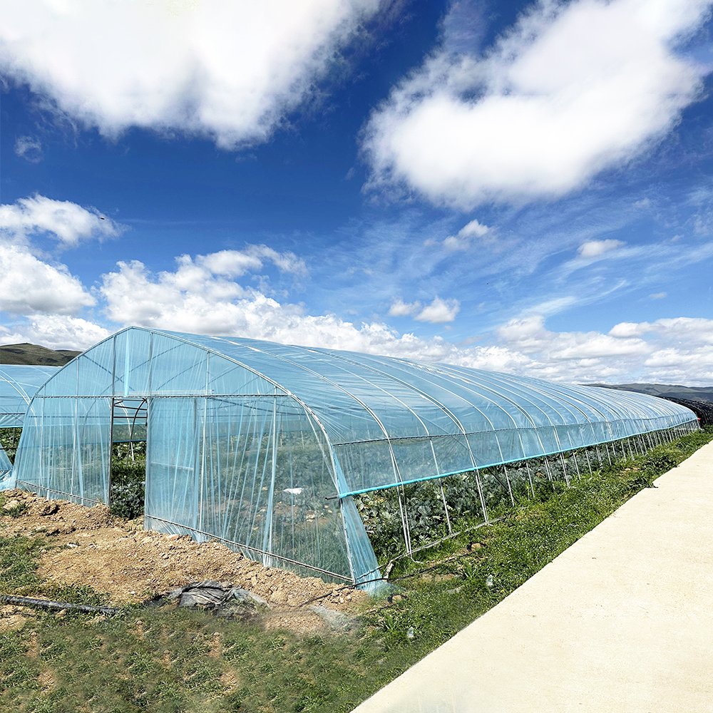 Agriculture Farming Small Hothouse Single-span Tunnel Greenhouse With Irrigation Hydroponic Growing System
