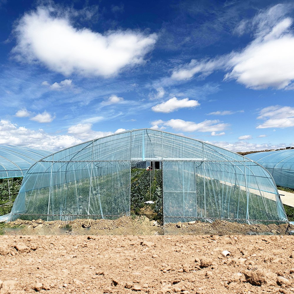 Agriculture Farming Small Hothouse Single-span Tunnel Greenhouse With Irrigation Hydroponic Growing System