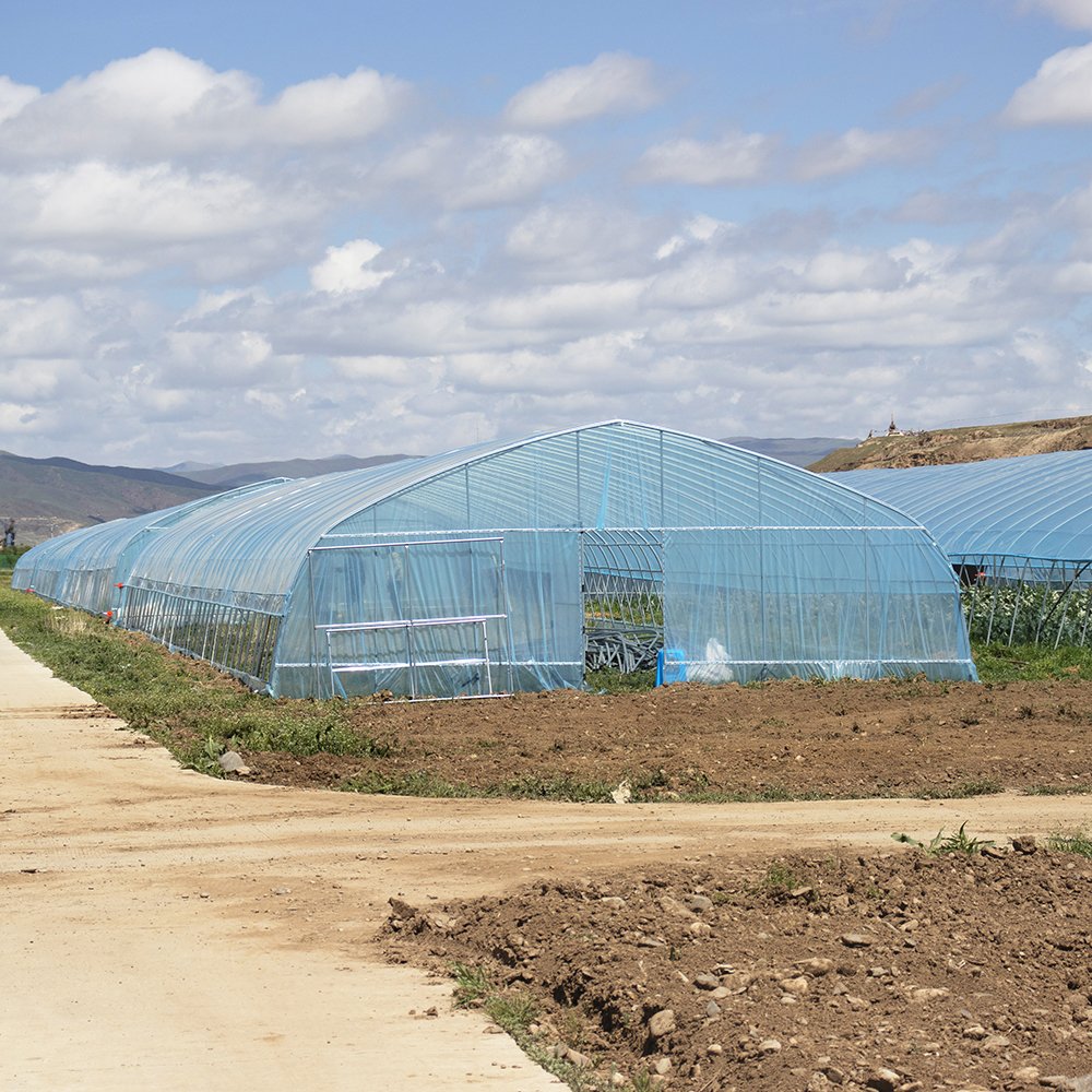 Agriculture Farming Small Hothouse Single-span Tunnel Greenhouse With Irrigation Hydroponic Growing System