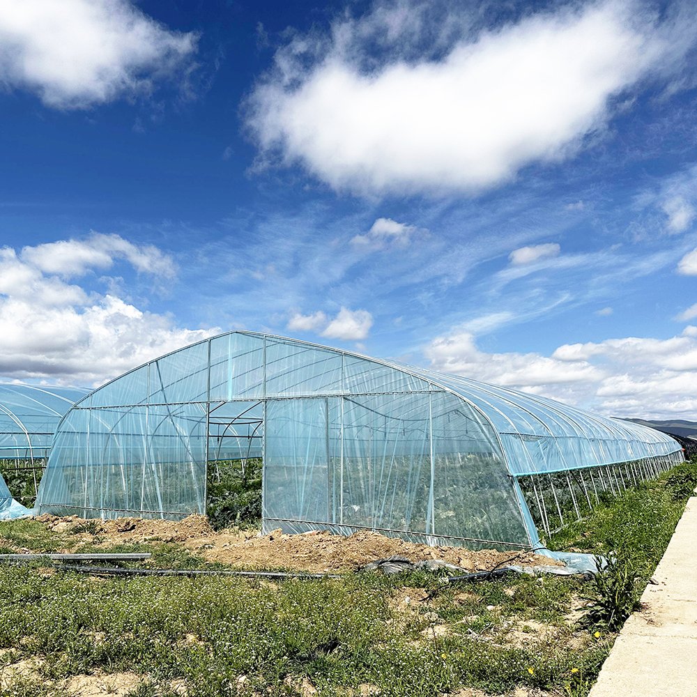 Agriculture Farming Small Hothouse Single-span Tunnel Greenhouse With Irrigation Hydroponic Growing System