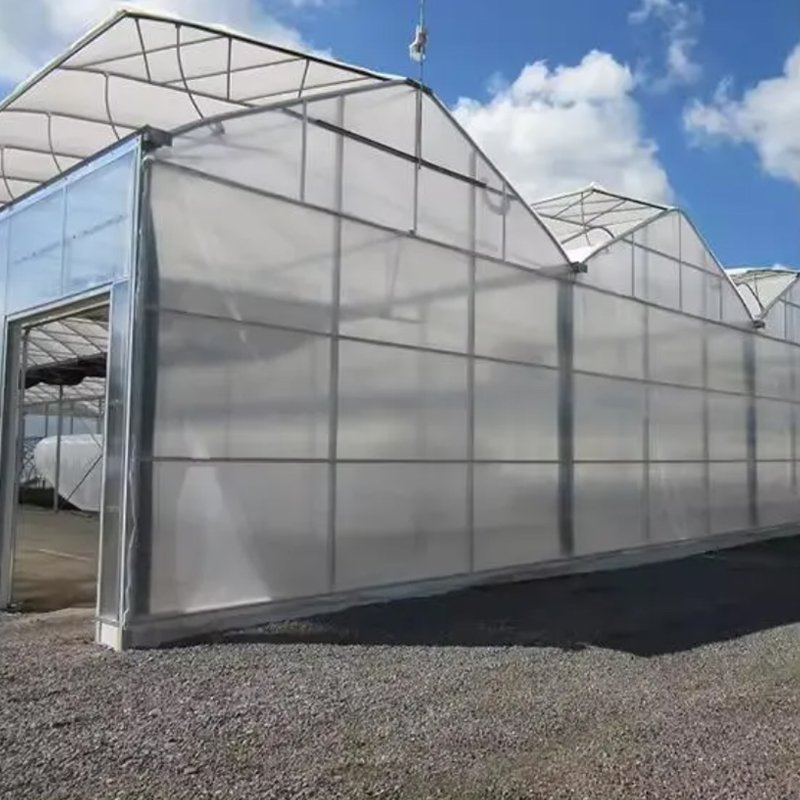 Agricultural Plastic zigzag Greenhouse for Tomato/Fruit with Aeroponic System and fertilization