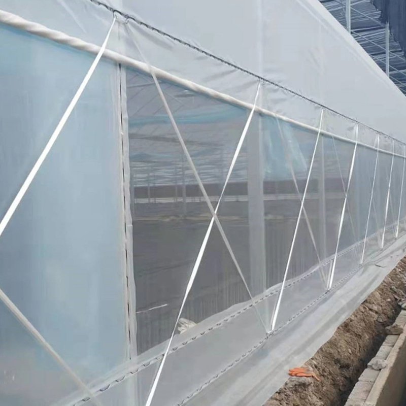 Agricultural Plastic zigzag Greenhouse for Tomato/Fruit with Aeroponic System and fertilization