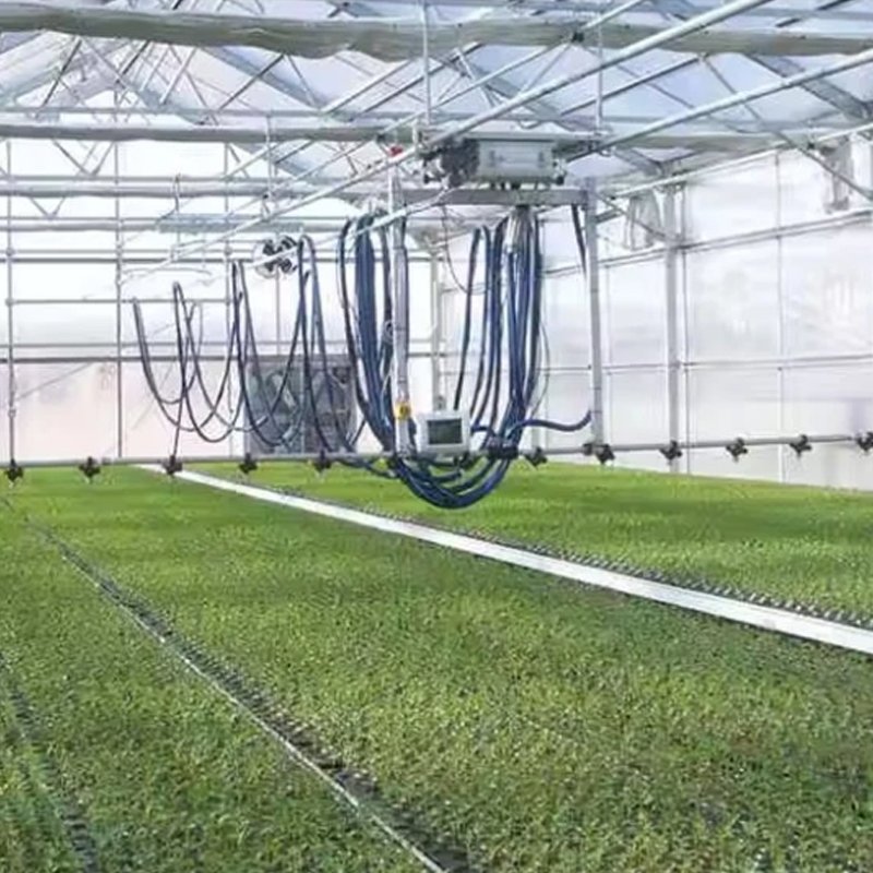 Agricultural Plastic zigzag Greenhouse for Tomato/Fruit with Aeroponic System and fertilization