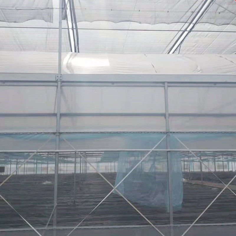 Agricultural Plastic zigzag Greenhouse for Tomato/Fruit with Aeroponic System and fertilization