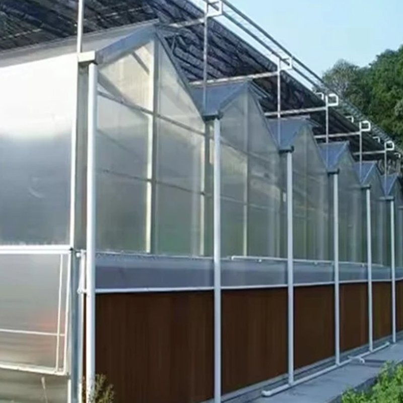 Agricultural Plastic zigzag Greenhouse for Tomato/Fruit with Aeroponic System and fertilization