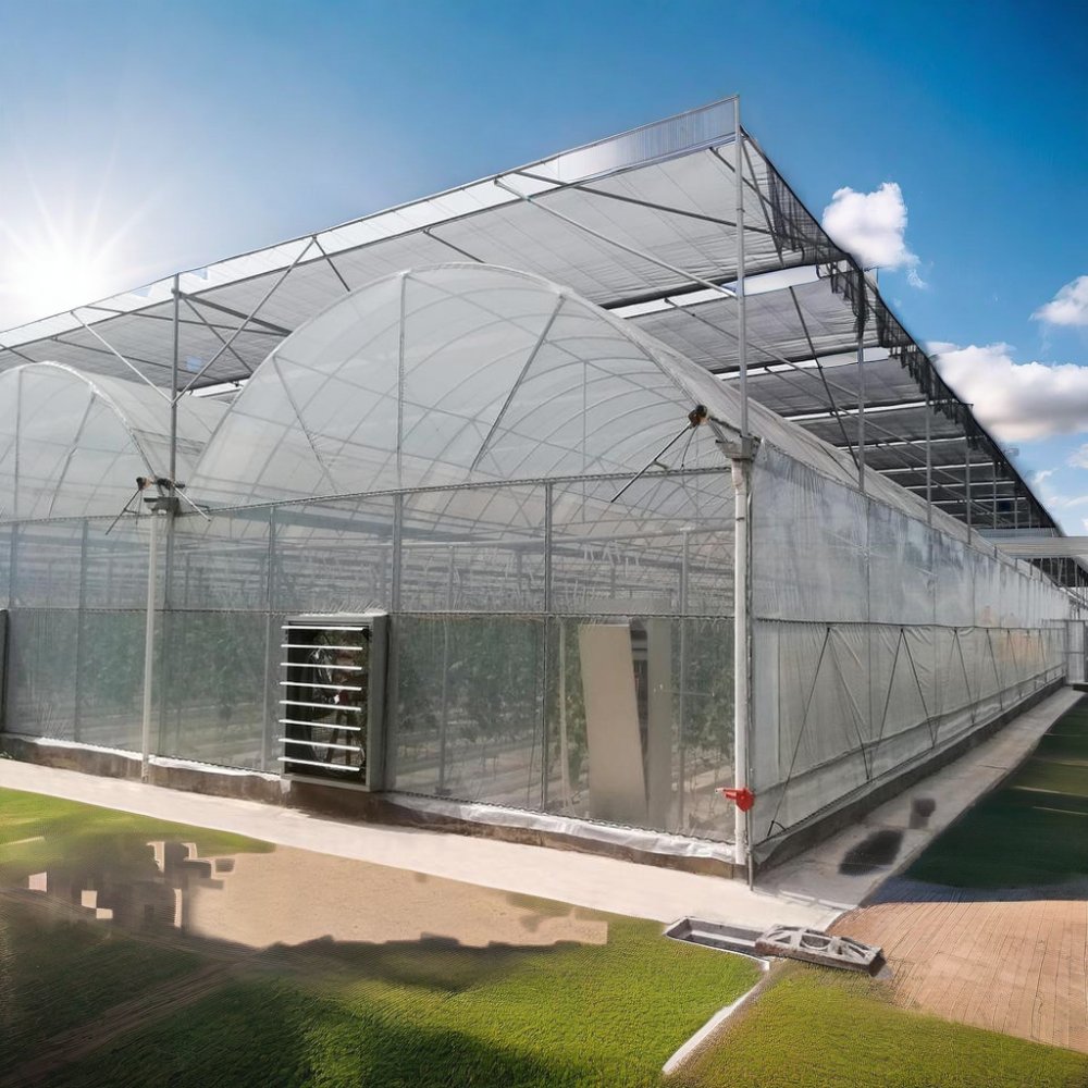 Commercial Agricultural Greenhouse Low Price Plastic Film Greenhouse for Tomato Crop High Quality Farming Solution