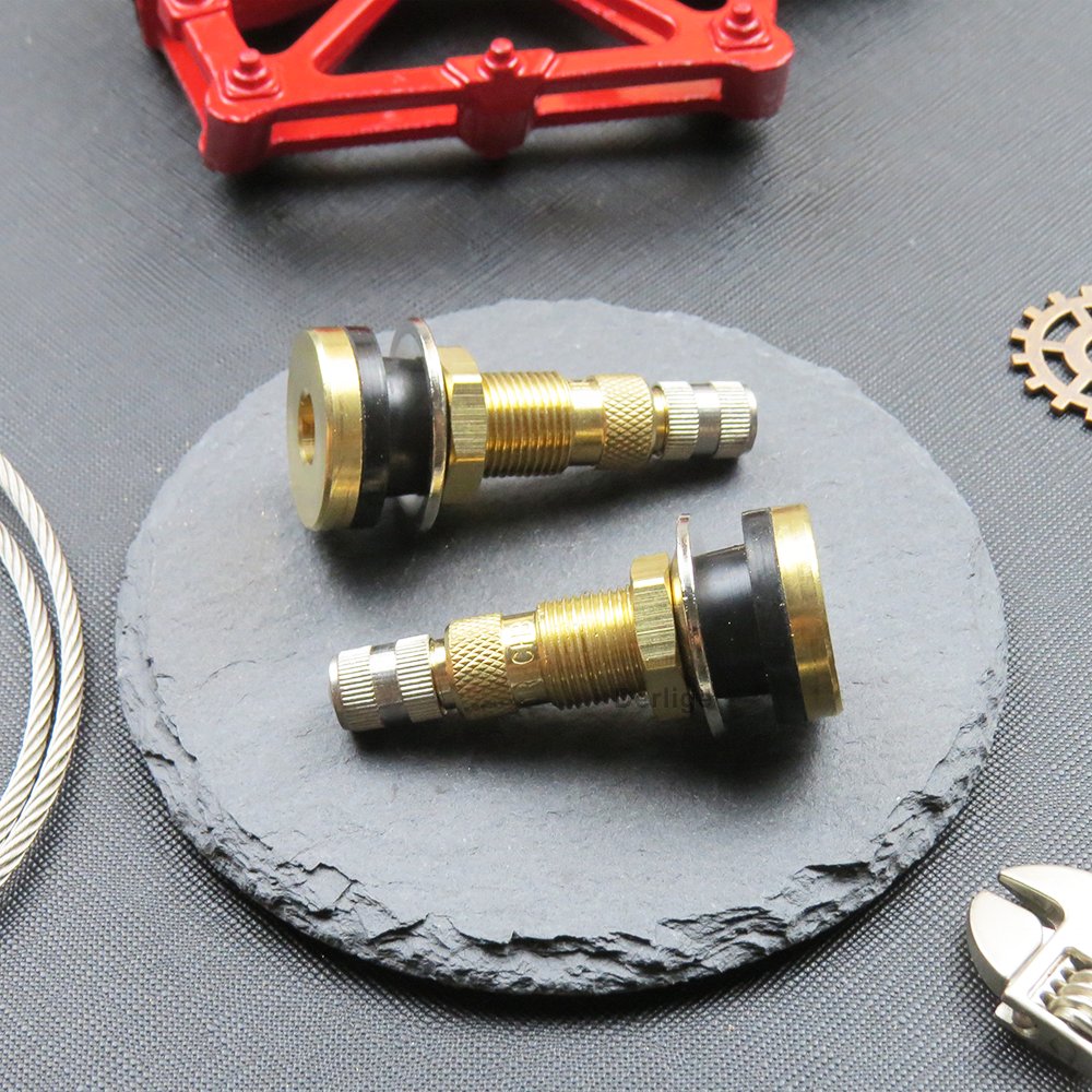 Brass Tractor Tubeless Valve Industrial Agricultural air Liquid Tire Valve TR618A