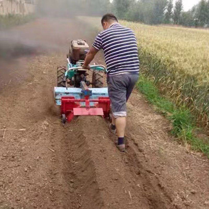 Hot Selling Walking Tractor with Rotary Tiller 2 Wheels Mini Hand Tractor