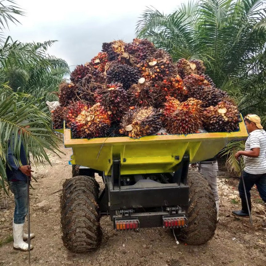Factory Long Lifetime Diesel 4WD Lift Hydraulic 25HP Hilly Utility Vehicle Farm Machine AWD Palm Tractor