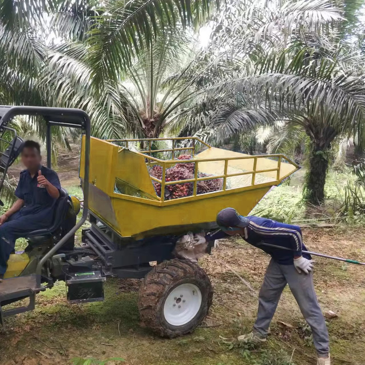Factory Long Lifetime Diesel 4WD Lift Hydraulic 25HP Hilly Utility Vehicle Farm Machine AWD Palm Tractor