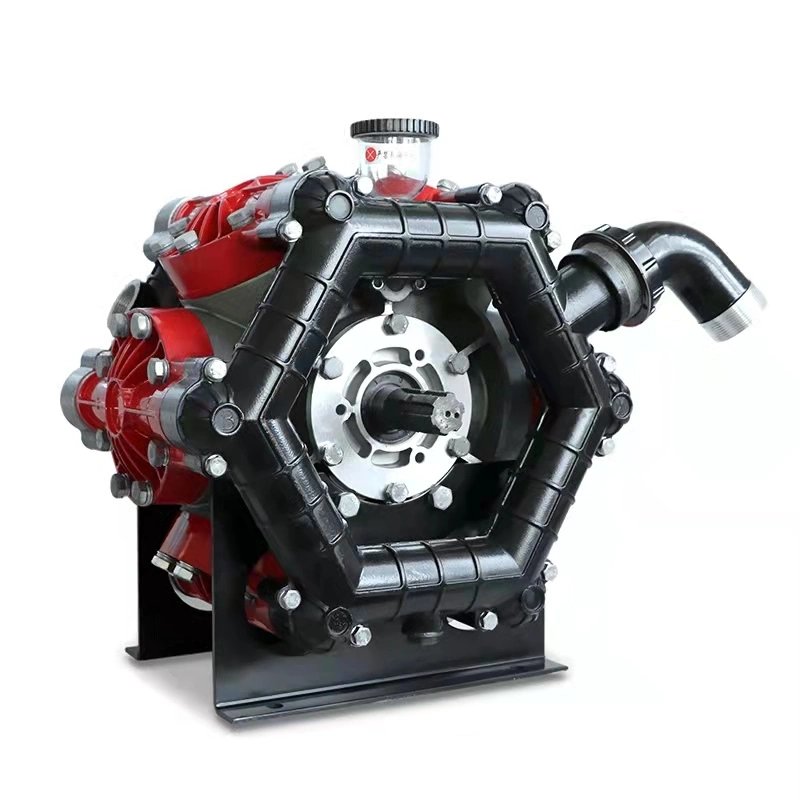 Agricultural High-Pressure Dosing Pump Sprayer Diaphragm Trigger Sprayer Pressure Pump Agricultural Machinery Equipment