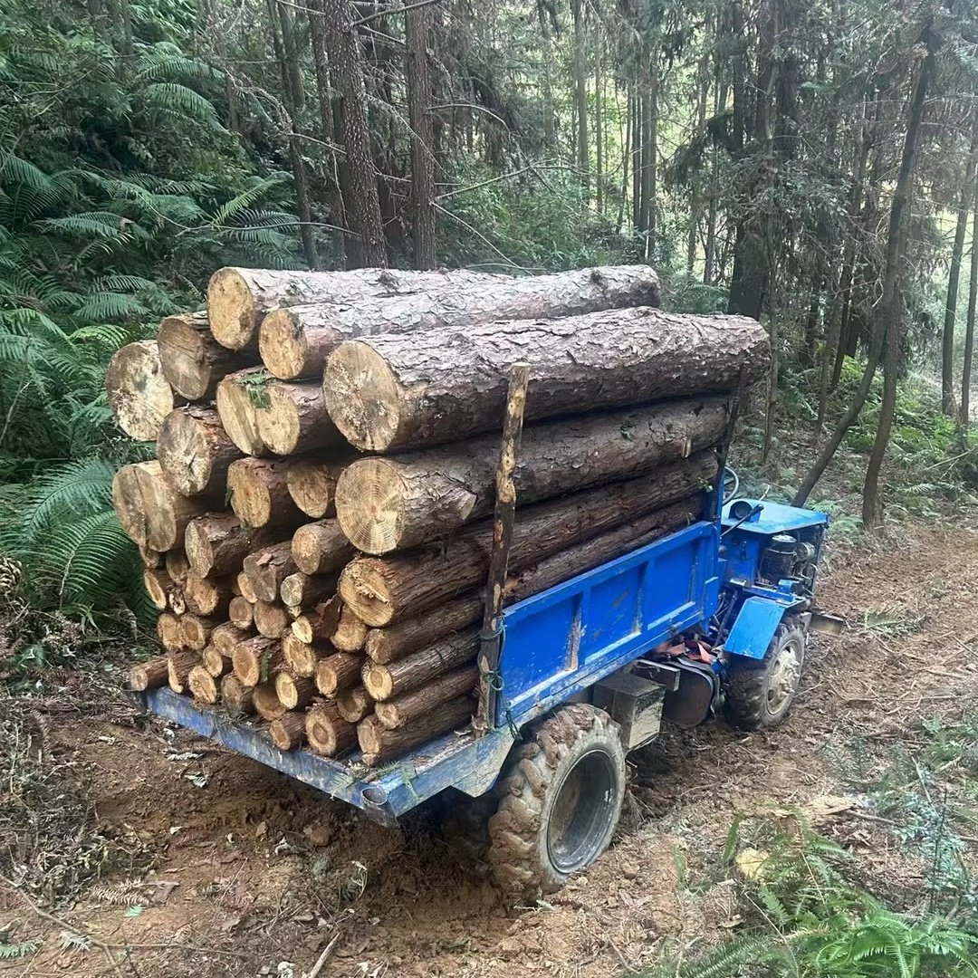 64HP Four-Wheel Drive 4000 KGS Loading Capacity Wood Log Bamboo Truck Tractor Complex Terrain Vehicles