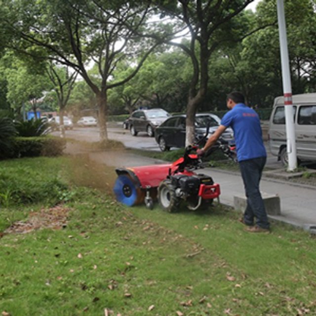 Multi-task Two Wheel Walking Tractor Two Wheel Tractor CE Approved for Agriculture and Gardening Etc.