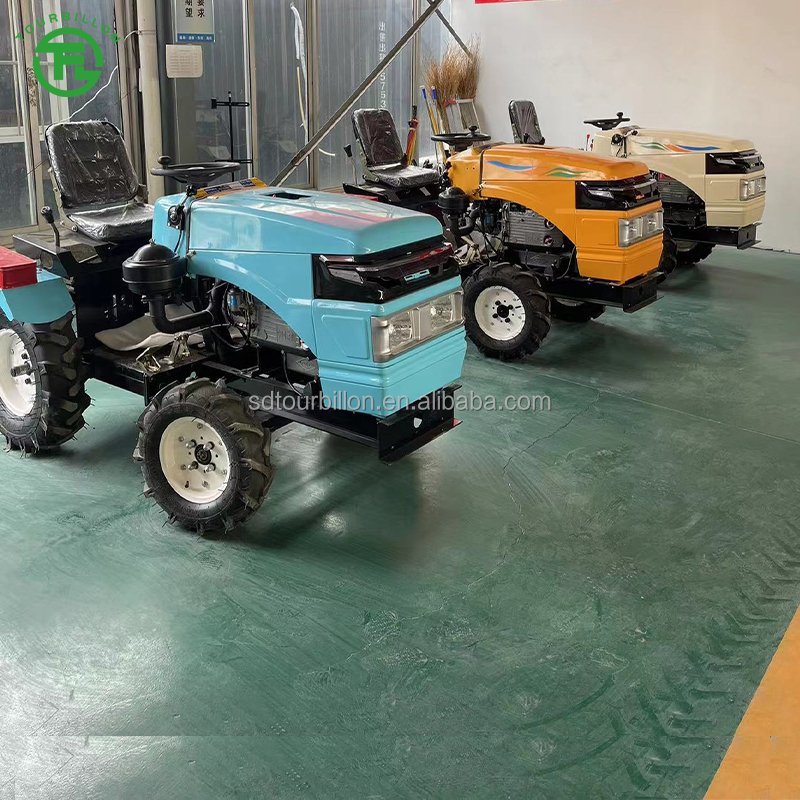 Mini Tractor Farm Tractor Mini Tractor Design Small Agricultural for with Low Price