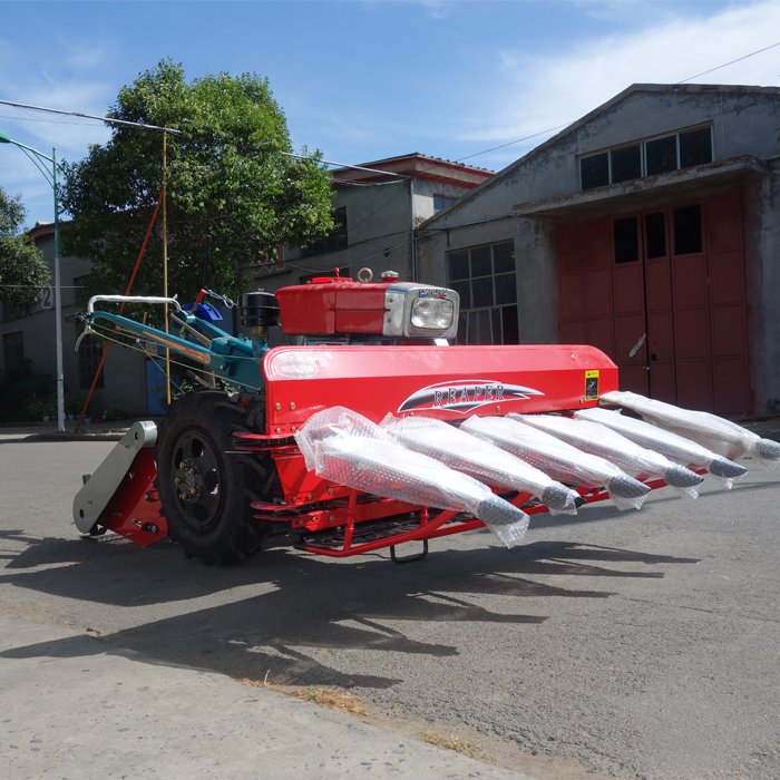 China Mini Farm Hand Walking Tractor 12HP Farm Walking Tractor Small QLN-121 Two Wheel Tractor Plows for Garden