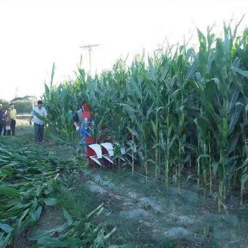 Diesel 2 Wheels Farming Walking Tractor Mini 8hp 18hp 20hp Lavender Corn Rice Harvesting Machine Agriculture