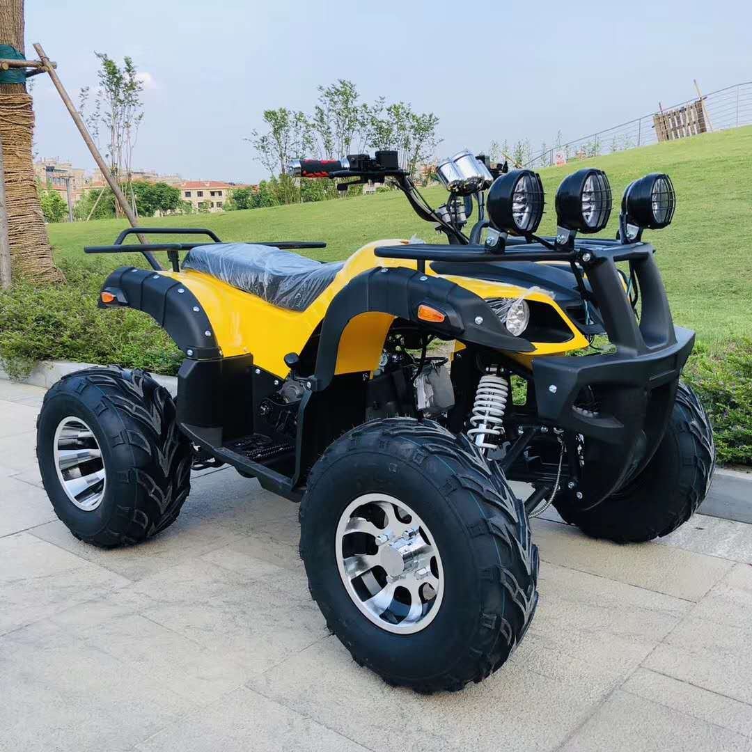 Big 4 Stroke 125cc 4 Wheel Quad Motor Bike Quad Pedal Bikes for Adults