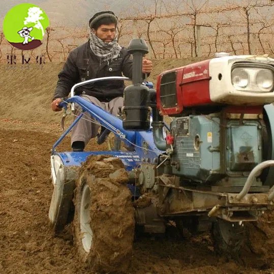 Low Price Ls Fm World Walk Behind Two Wheel Tractor Diesel
