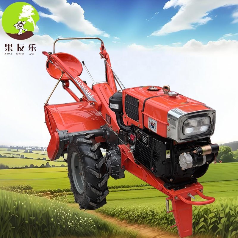 Low Price Ls Fm World Walk Behind Two Wheel Tractor Diesel