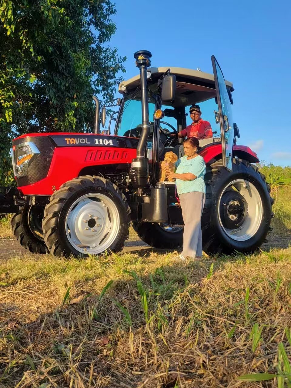 90hp 4x4 Sunshade Farm Tractors for Agriculture Traktor Agricola Prices Tavol Trator