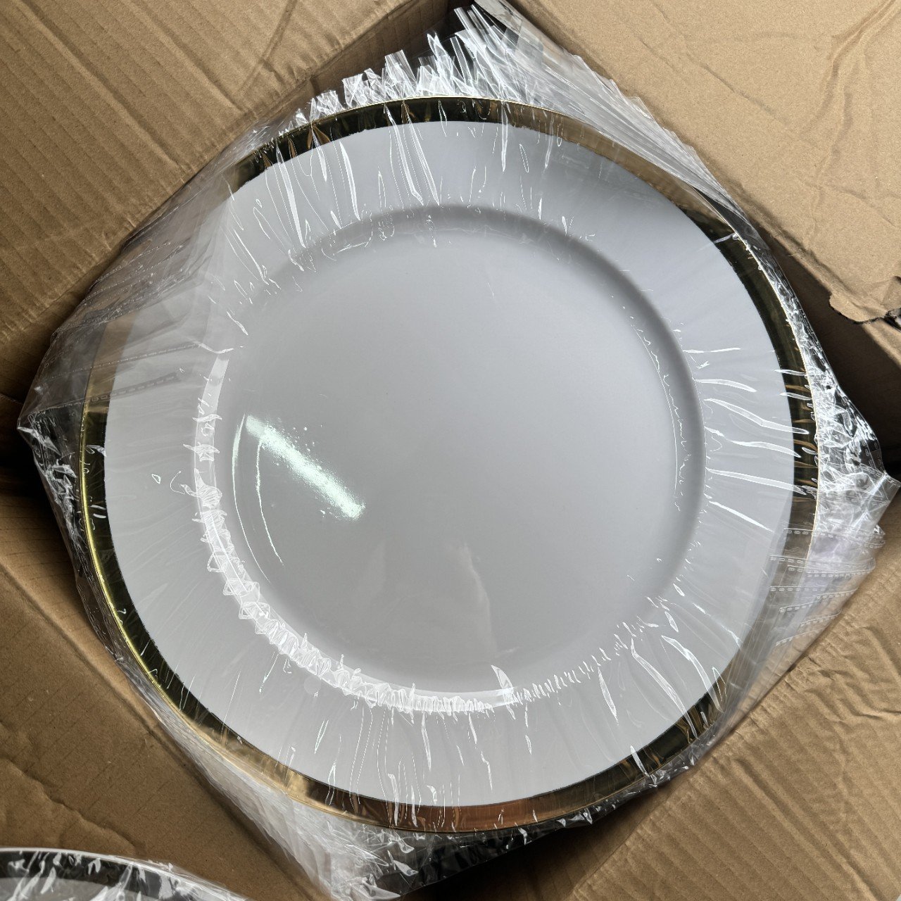 European American Style PET Food Grade Large Plate Disposable Plastic Tray Wedding Simple Fashion Decorative Dinner National