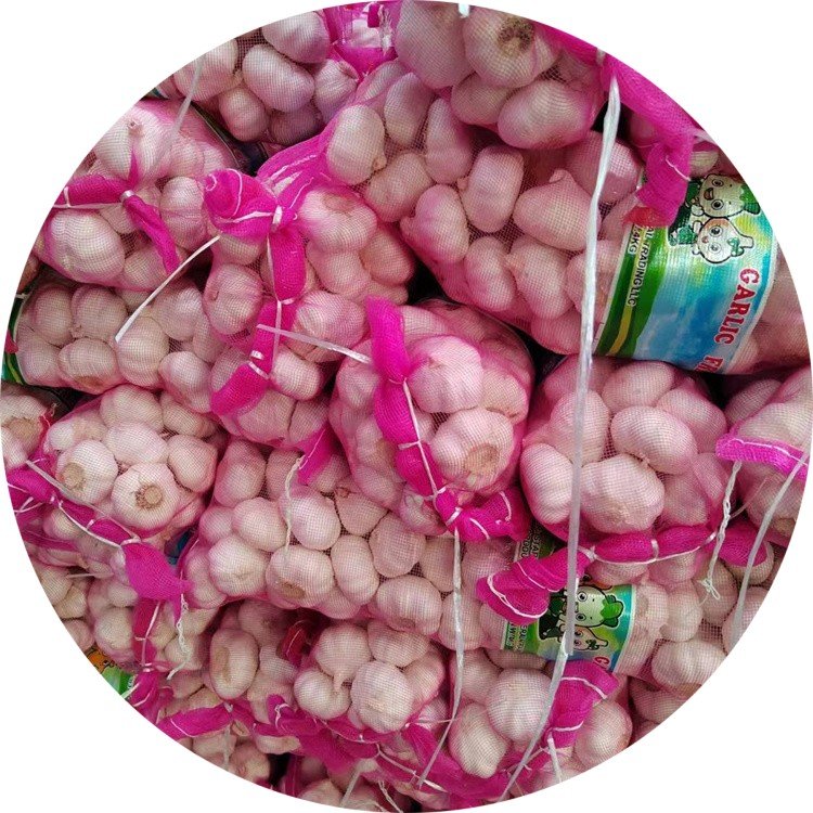 Fresh White Garlic 6.0cm WOHUA Supplier in China Low Price Wholesale Normal Pure Fresh Garlic