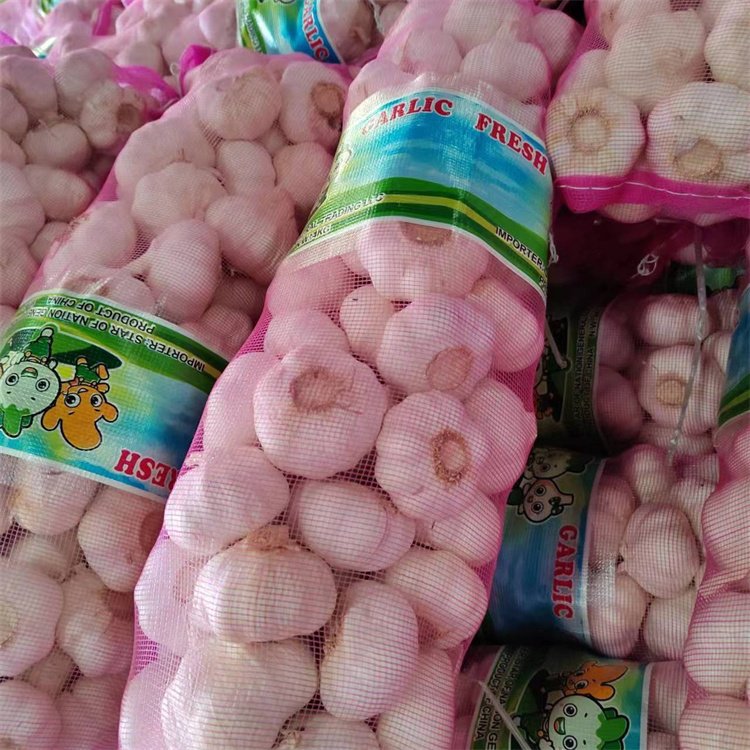 Fresh White Garlic 6.0cm WOHUA Supplier in China Low Price Wholesale Normal Pure Fresh Garlic